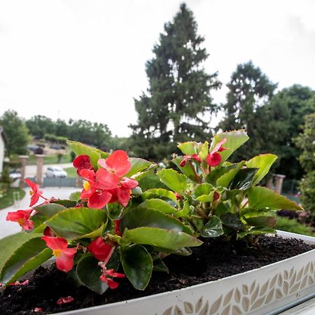 מונקאליירי B&B Villa Ricardi מראה חיצוני תמונה