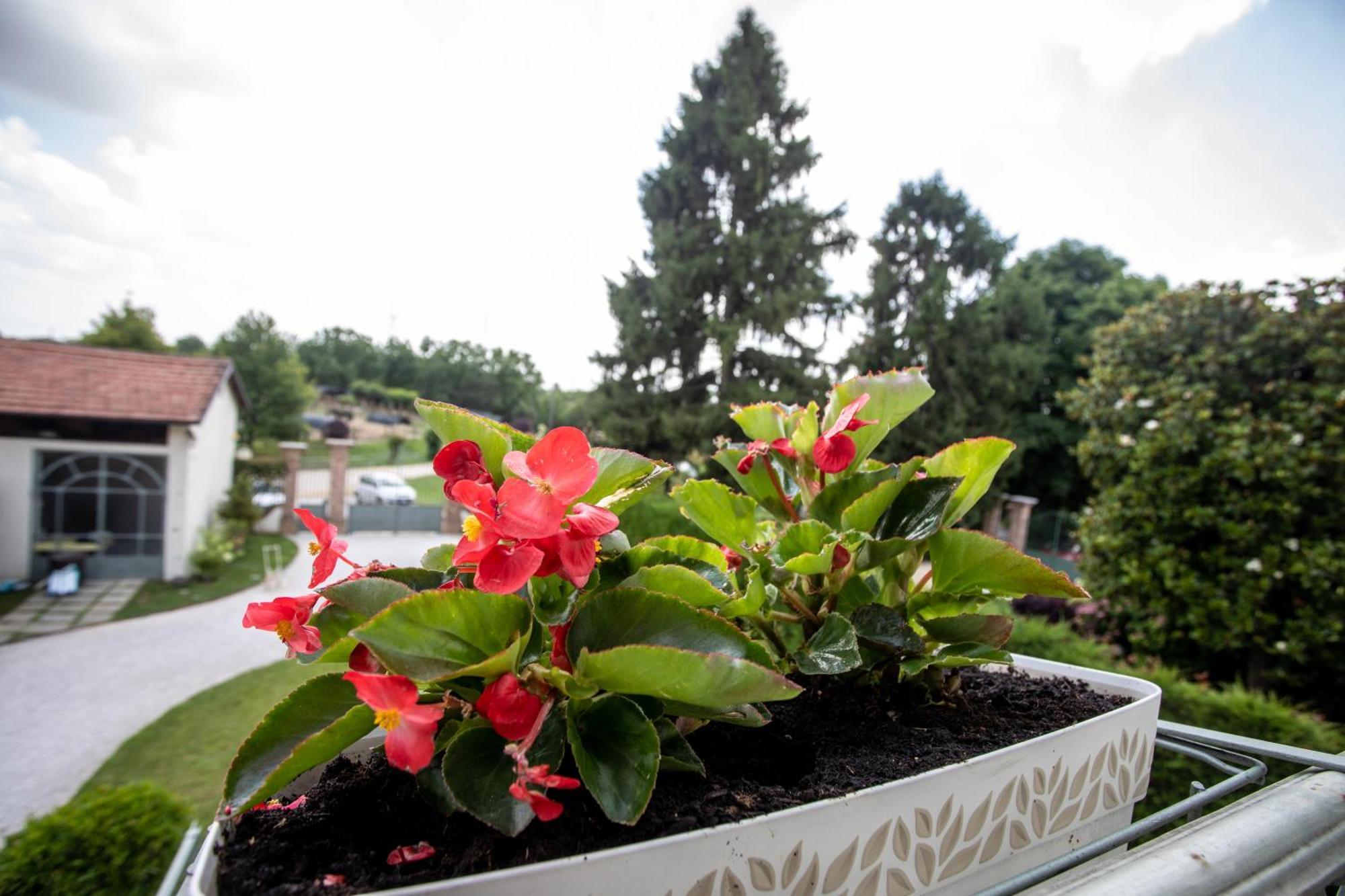 מונקאליירי B&B Villa Ricardi מראה חיצוני תמונה